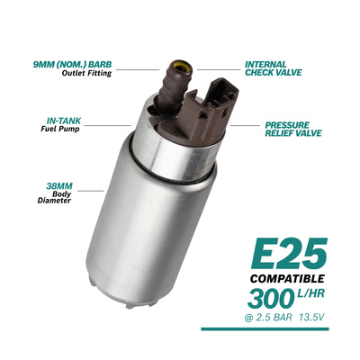 BR300i In-tank Pump