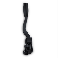 Accelerator Pedal Module