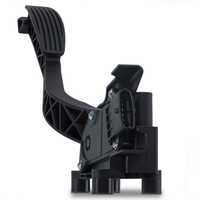 Accelerator Pedal Module
