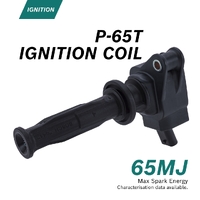 Ignition Coil  - P-65T