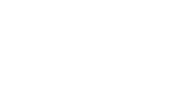 lp-image 1